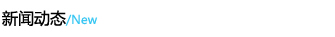 新闻动态